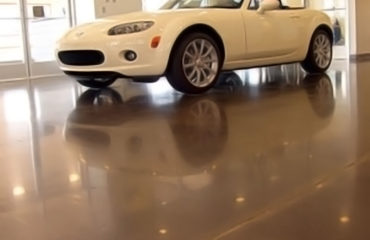 Polished car dealership showroom