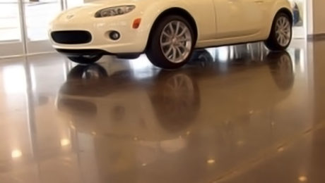 Polished car dealership showroom